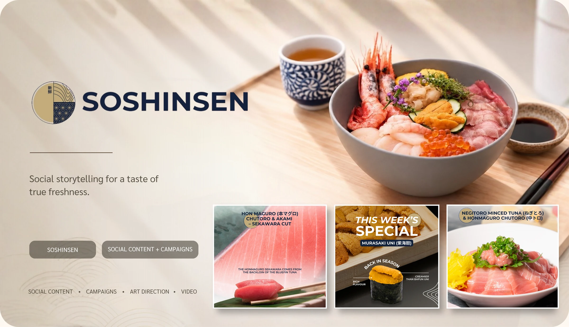 Soshinsen portfolio artwork